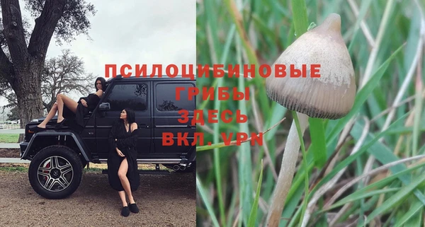 метамфетамин Елизово
