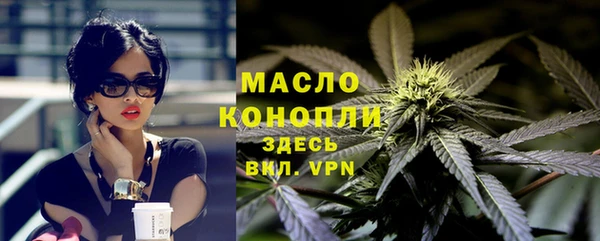 крисы Инта