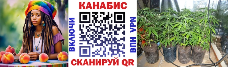 Марихуана тримм  Купить закладки  Моздок 
